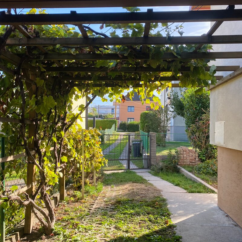 Einfahrt & Parkplatz