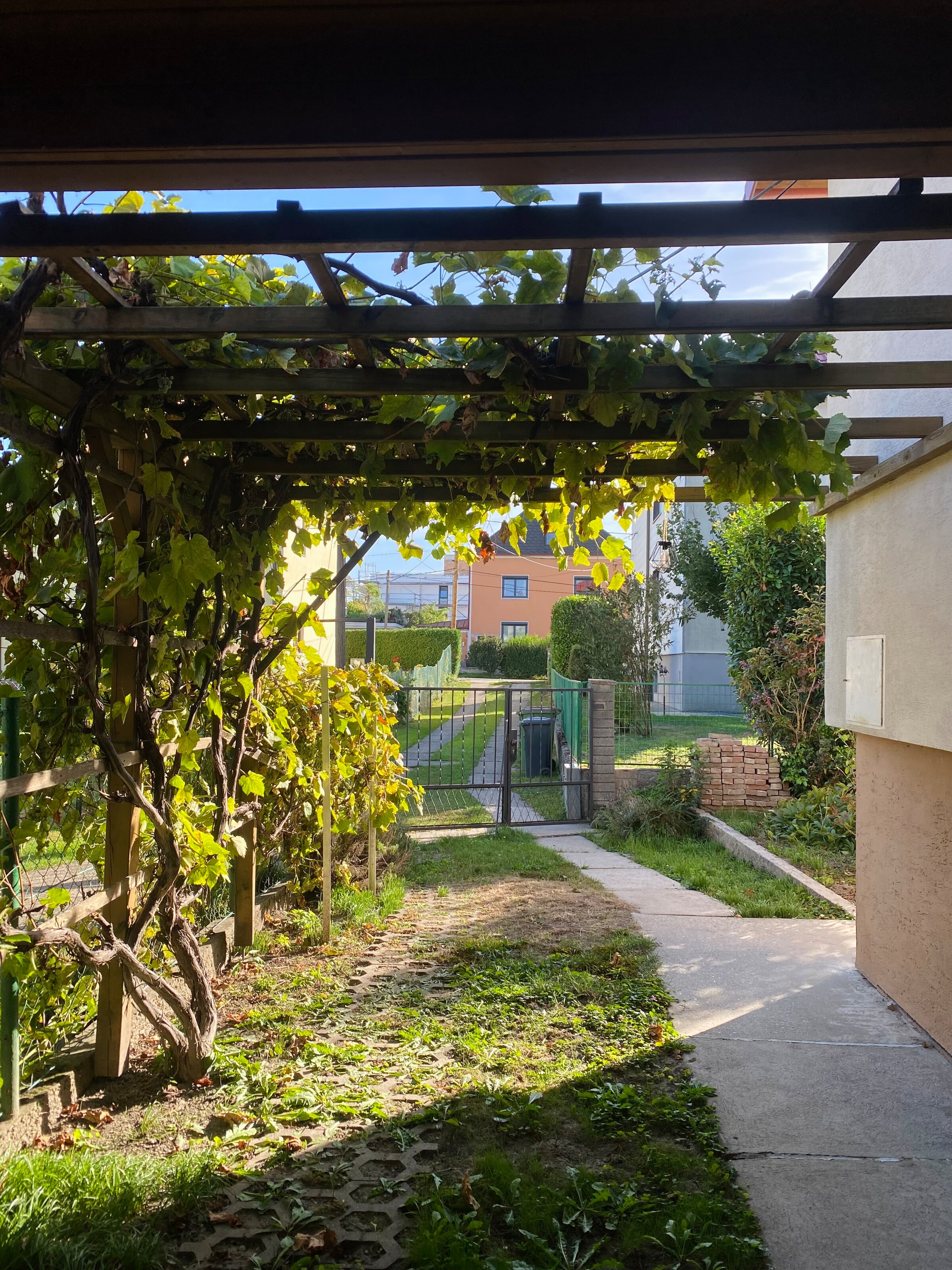 Einfahrt & Parkplatz