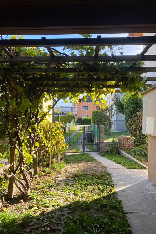 Einfahrt & Parkplatz