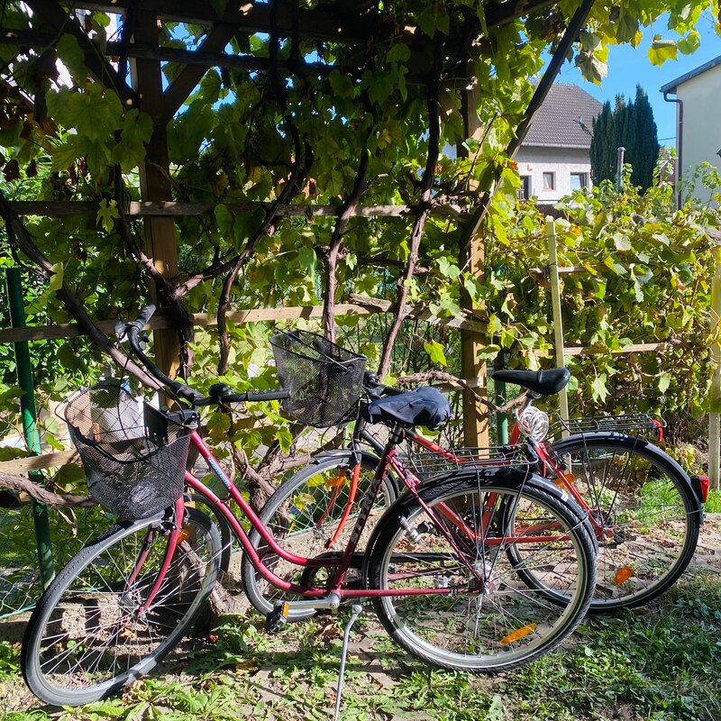 Unsere Fahrräder