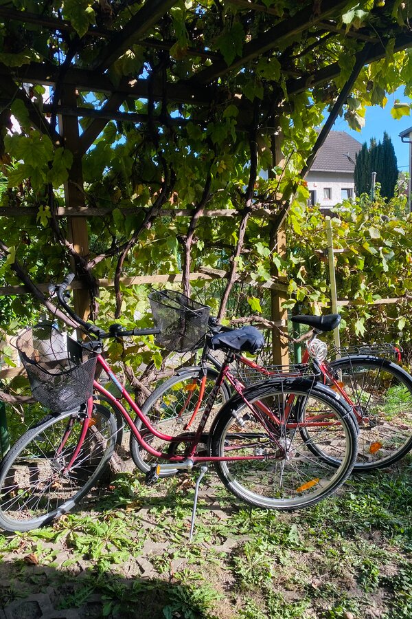 Unsere Fahrräder