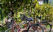 Unsere Fahrräder