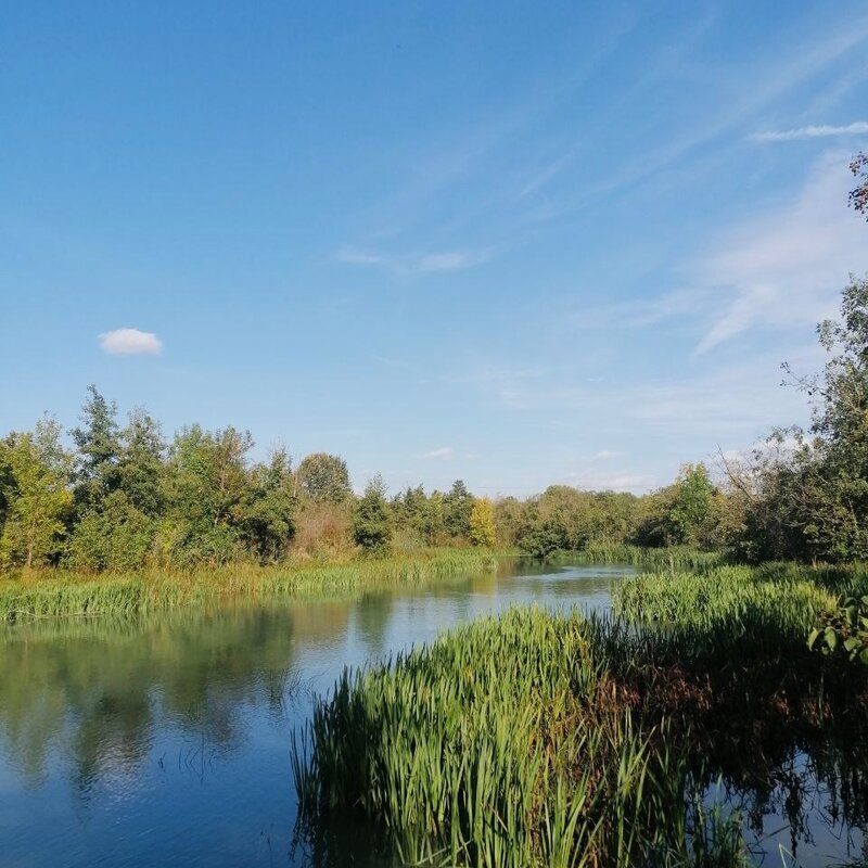 Marchfeldkanal