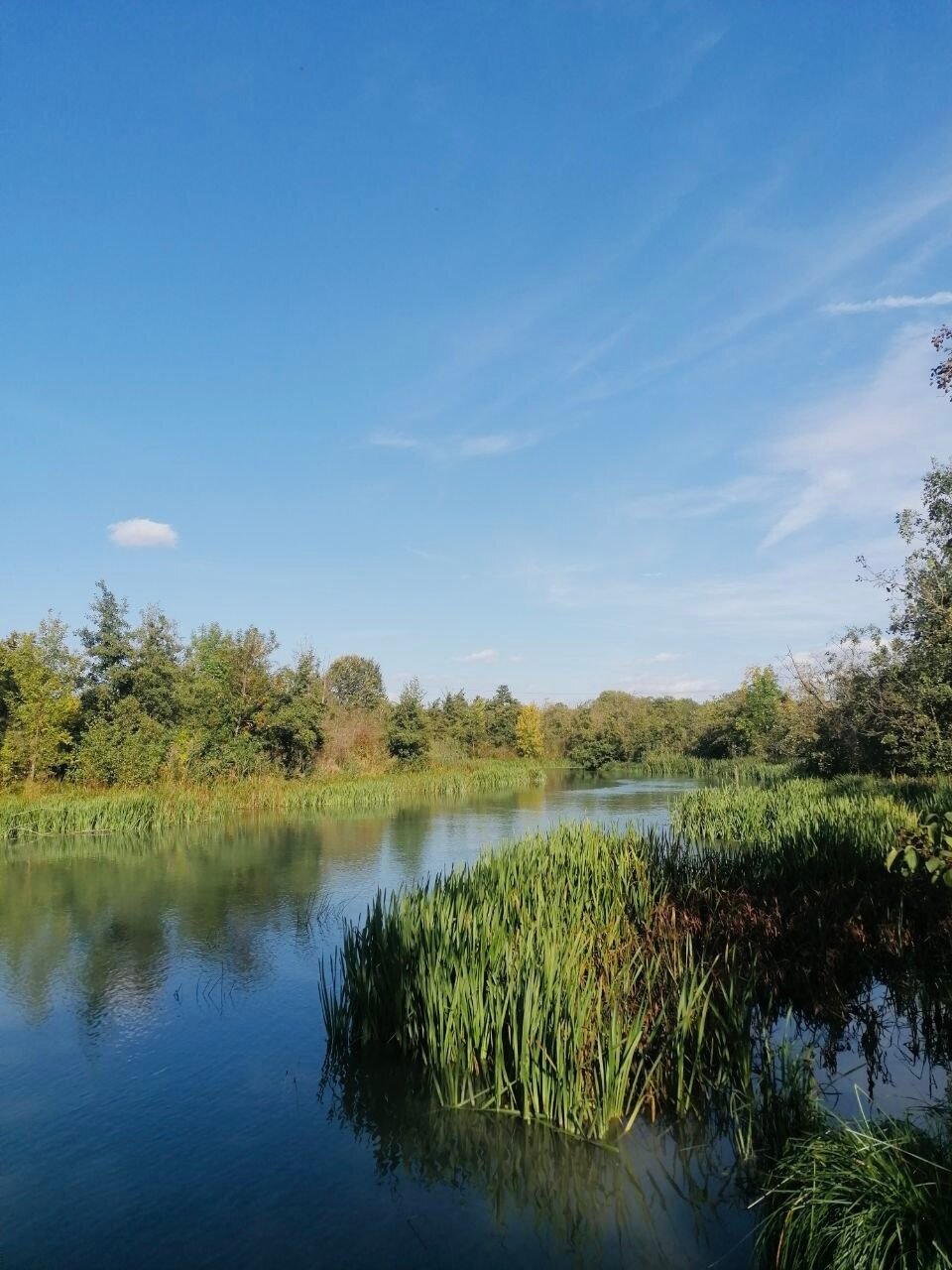 Marchfeldkanal