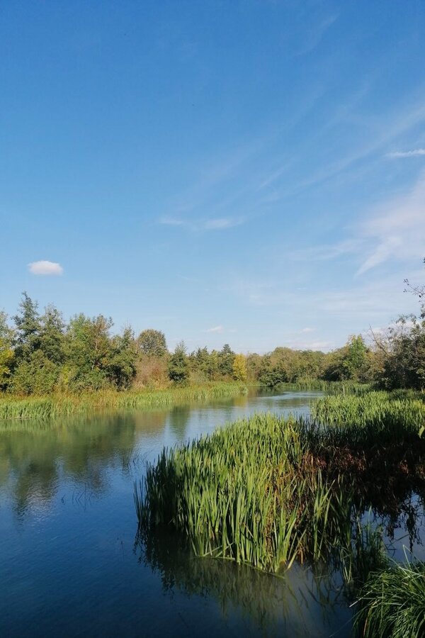 Marchfeldkanal