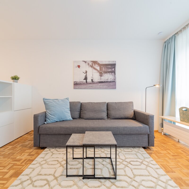 Bright living room with sofa & modern style – 1-room apartment, short-term rental, temporary housing for 1 to 6 months, Salzburg