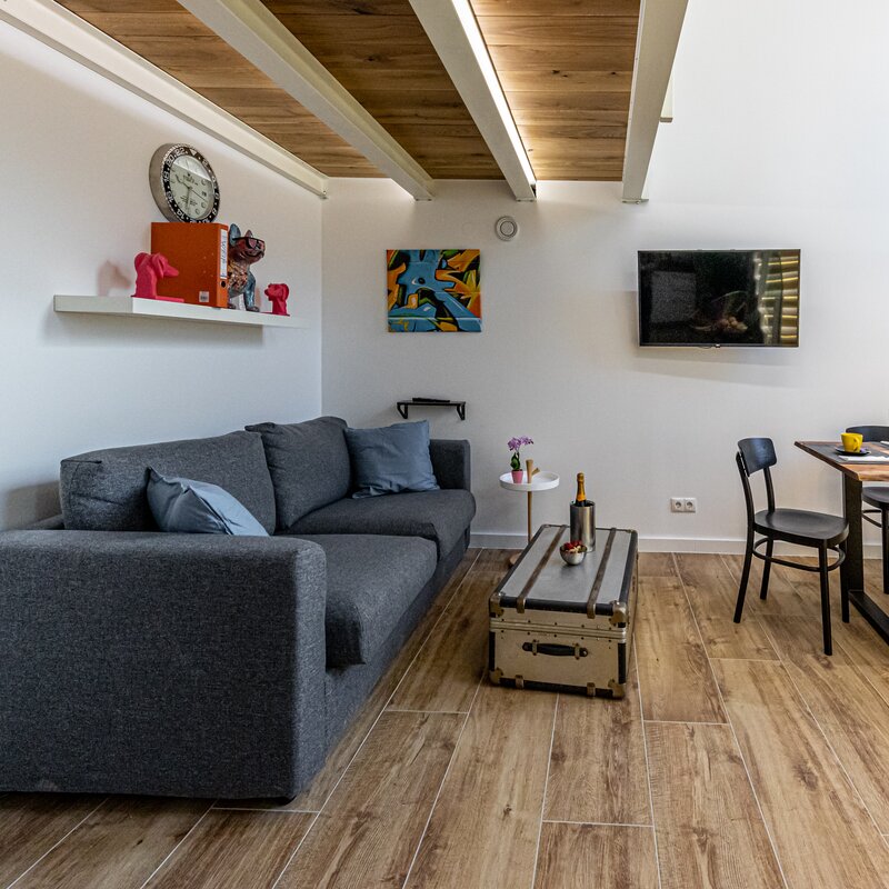 Living Room with sleep sofa