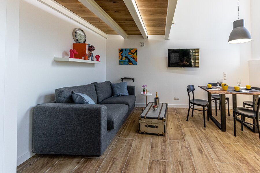 Living Room with sleep sofa