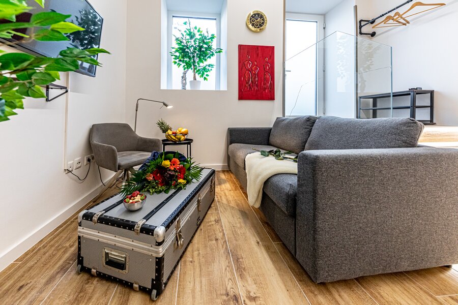 Living room with sofa bed