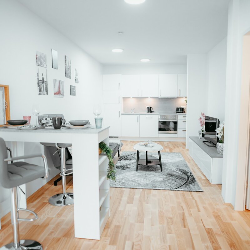 Living room with a comfortable pull-out sofa, coffee table, elegant rug, flat-screen TV, and bar table, also the fully equipped kitchen is visible. | © All rights reserved