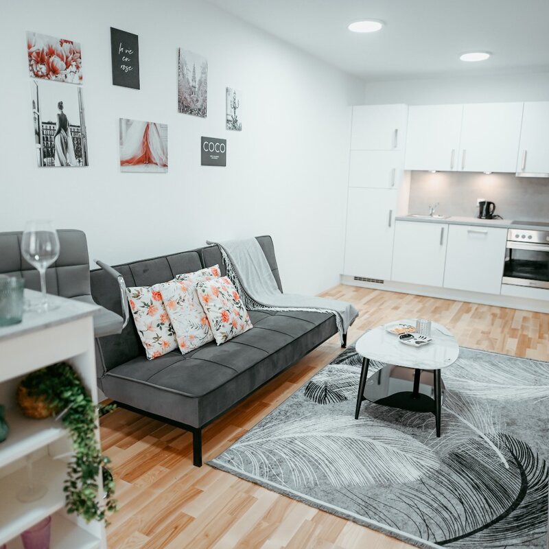Living room with a comfortable pull-out sofa, coffee table, elegant rug, flat-screen TV, and bar table | © All rights reserved