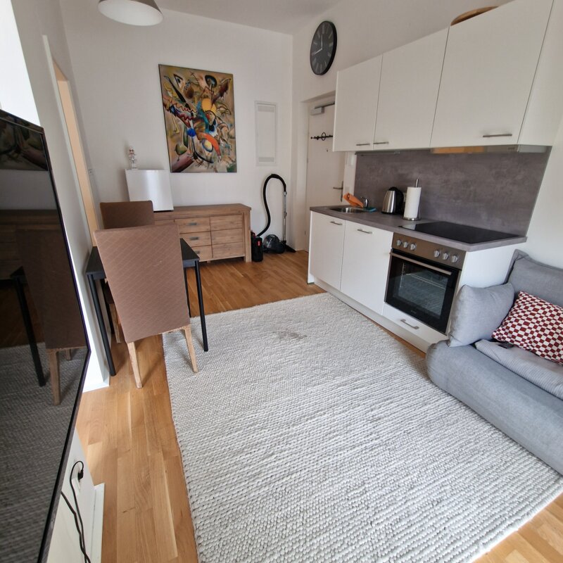 Bright open-plan kitchen & living area – 2-room apartment for short-term rental & temporary housing for 1 to 6 months in Linz