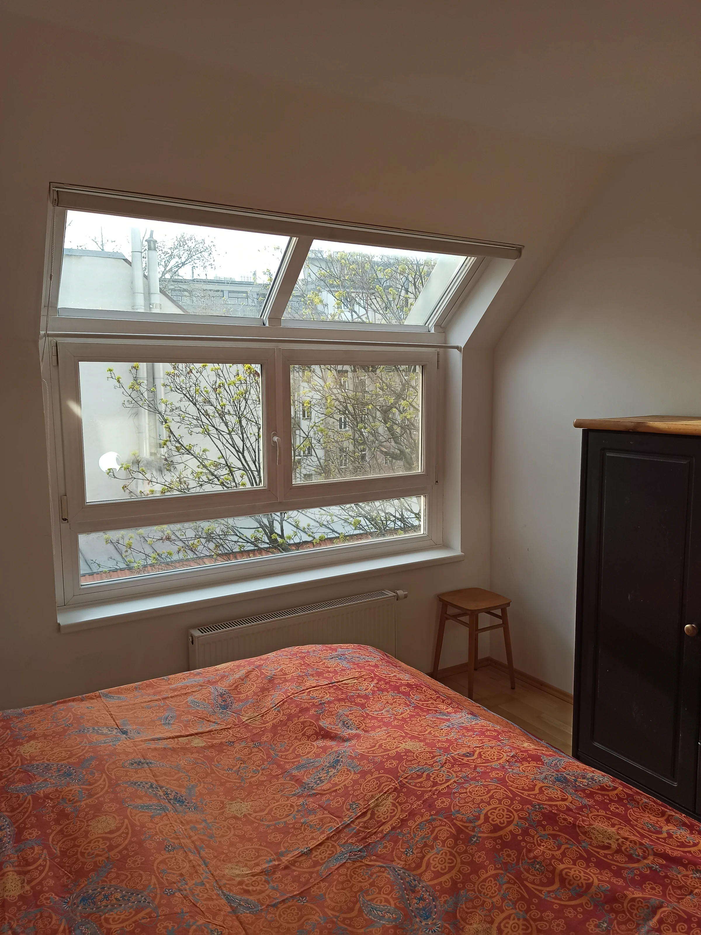 Das Fenster wurde mit einem Fliegengitter ausgestattet, davor eine Linde | © G.Blaschitz