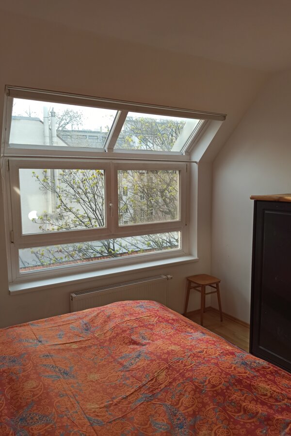 Das Fenster wurde mit einem Fliegengitter ausgestattet, davor eine Linde | © G.Blaschitz