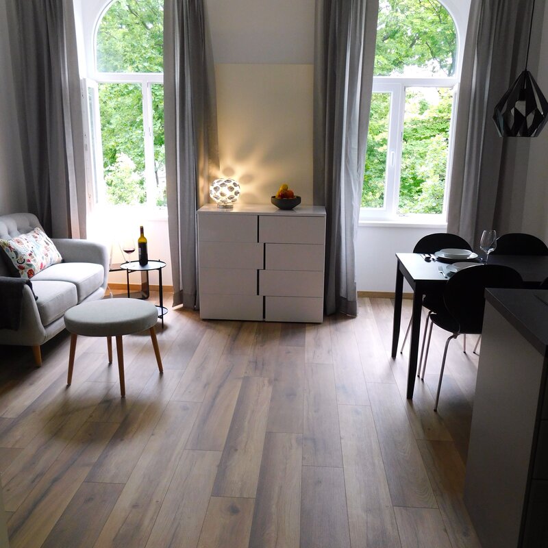 Bright 1-room apartment with park view & modern interior. Short-term rental & temporary housing for 1 to 6 months in Vienna.
