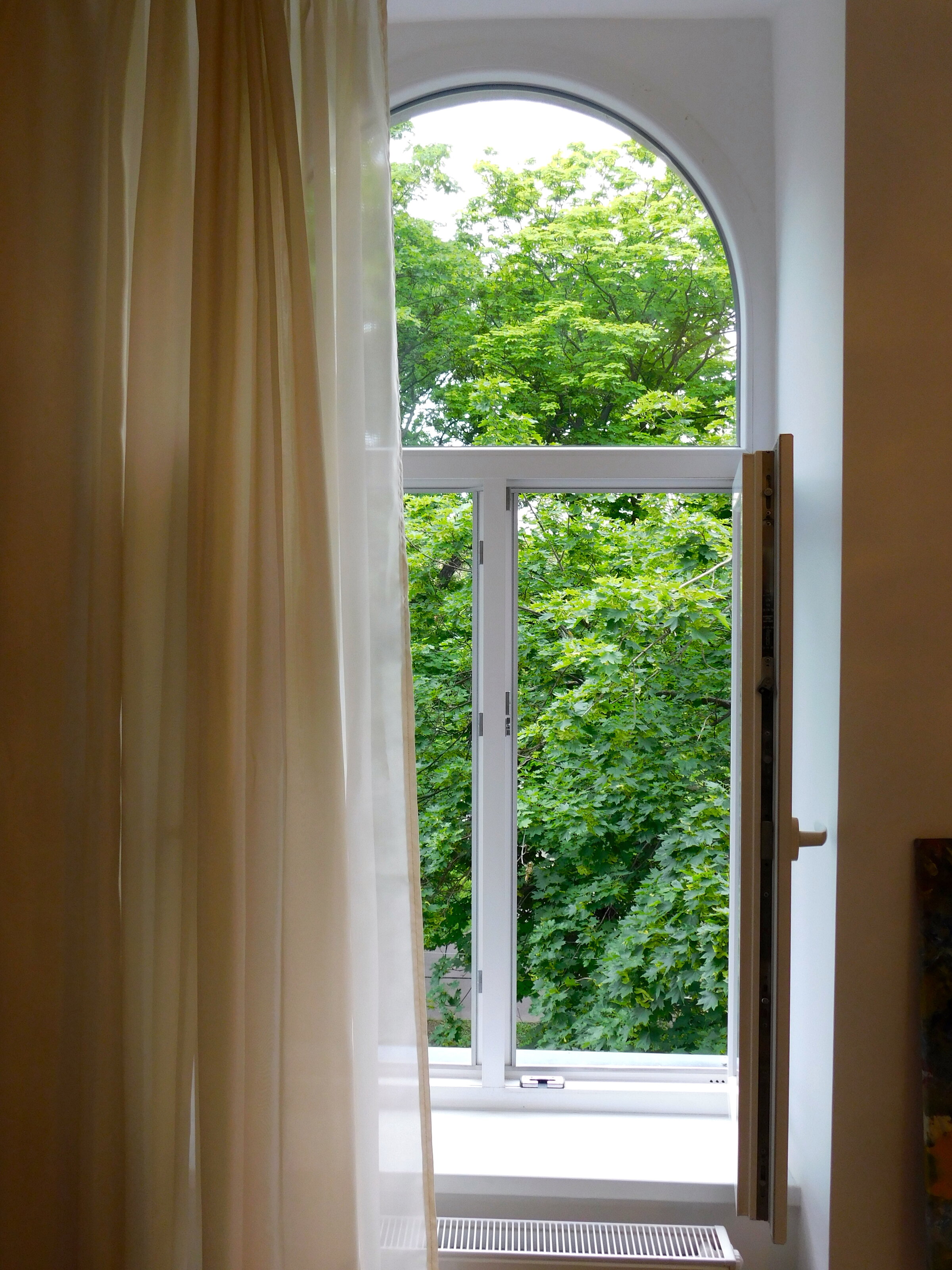 Ausblick