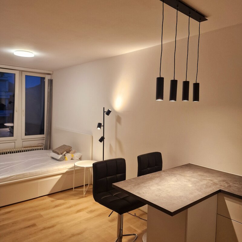 Helles 1-Zimmer Apartment mit moderner Einrichtung – Kurzzeitmiete & Wohnen auf Zeit für 1 bis 6 Monate in Salzburg