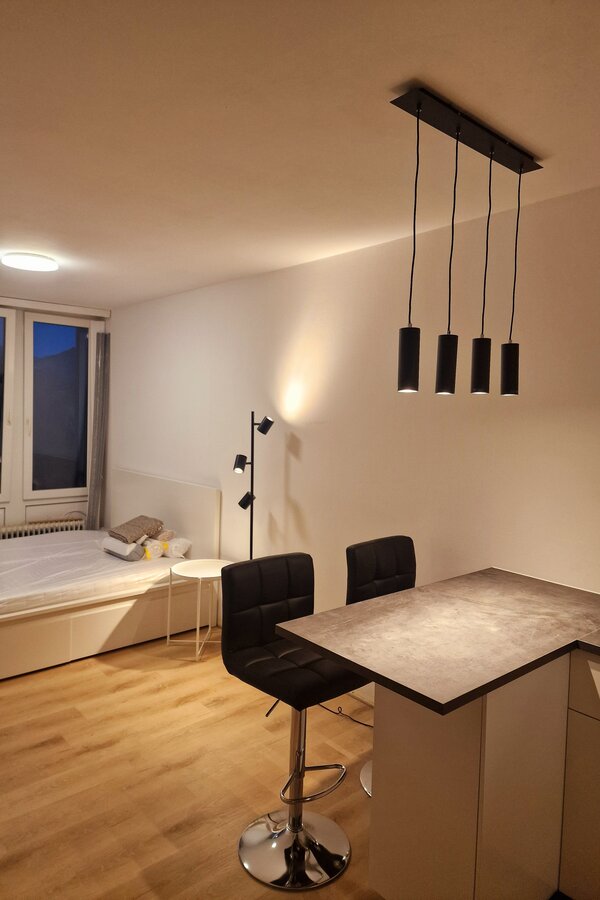 Helles 1-Zimmer Apartment mit moderner Einrichtung – Kurzzeitmiete & Wohnen auf Zeit für 1 bis 6 Monate in Salzburg