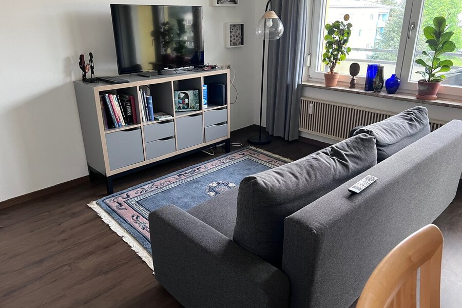 Comfortable television