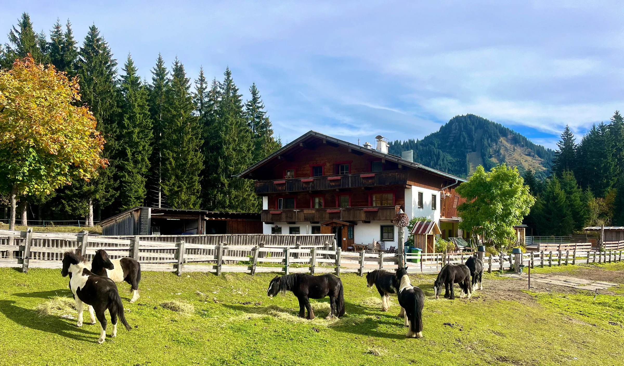Huberbauer Hof Berwang