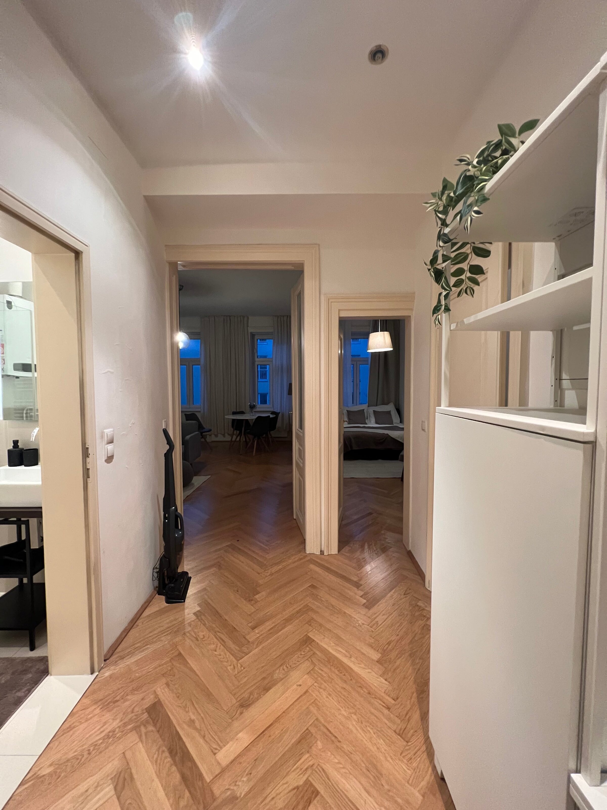 Entrance hall with view of living room and bedroom