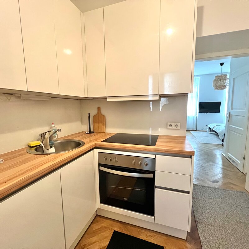 Equipped kitchen with fitted kitchen and dishwasher
