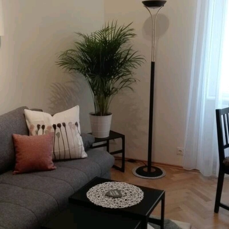 Wohnzimmer mit Essbereich