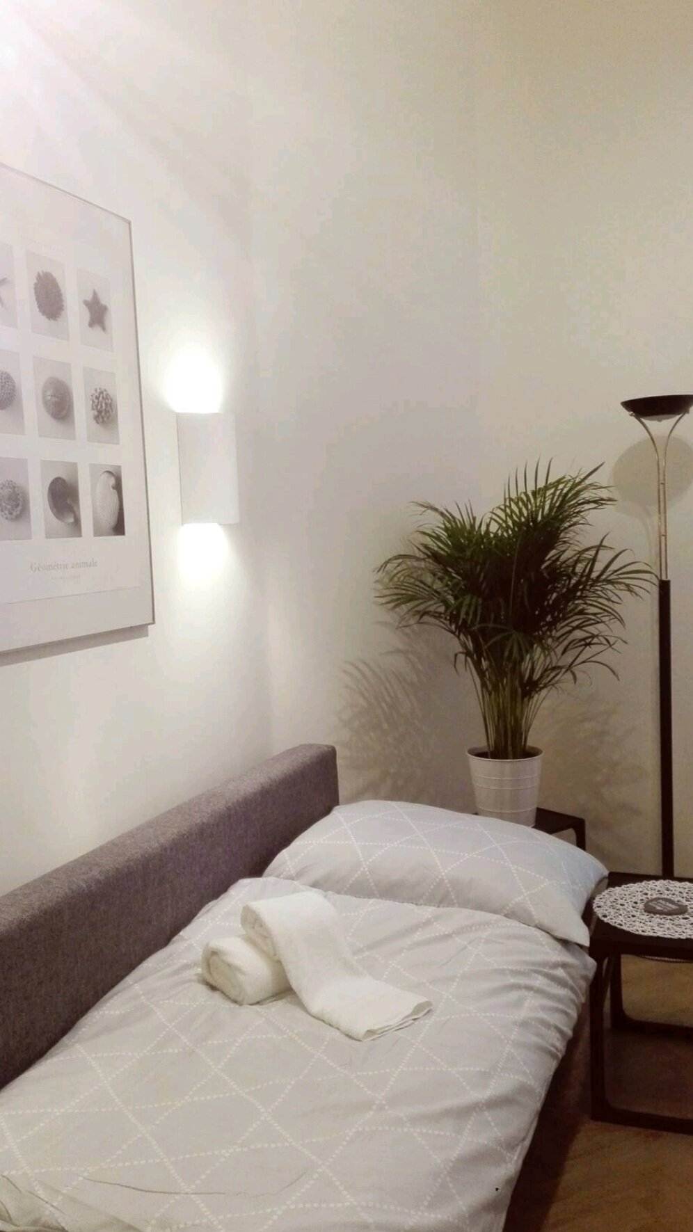 Alternativ: Schlafcouch