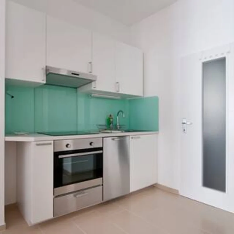 Küche mit Induktionskochfeld, Backrohr und Geschirrspüler