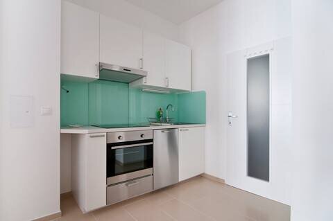 Küche mit Induktionskochfeld, Backrohr und Geschirrspüler