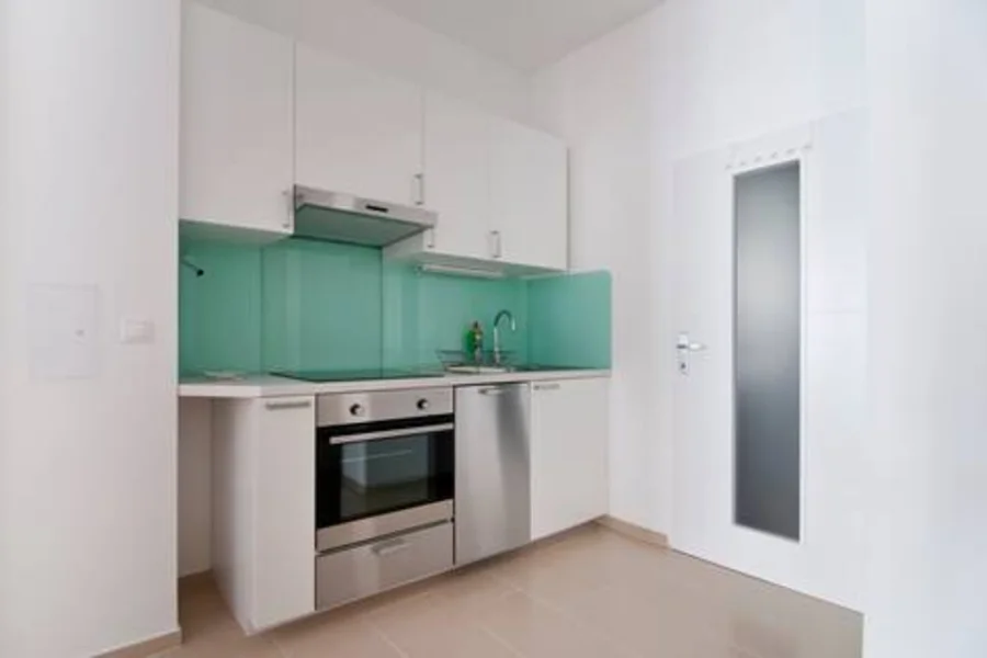 Küche mit Induktionskochfeld, Backrohr und Geschirrspüler