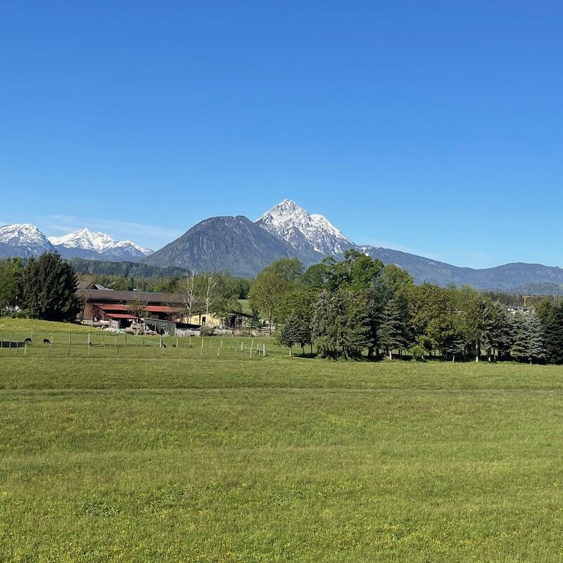 Green meadows & Alpine panorama: 1-room apartment for short-term rental & temporary housing for 1 to 6 months in Salzburg
