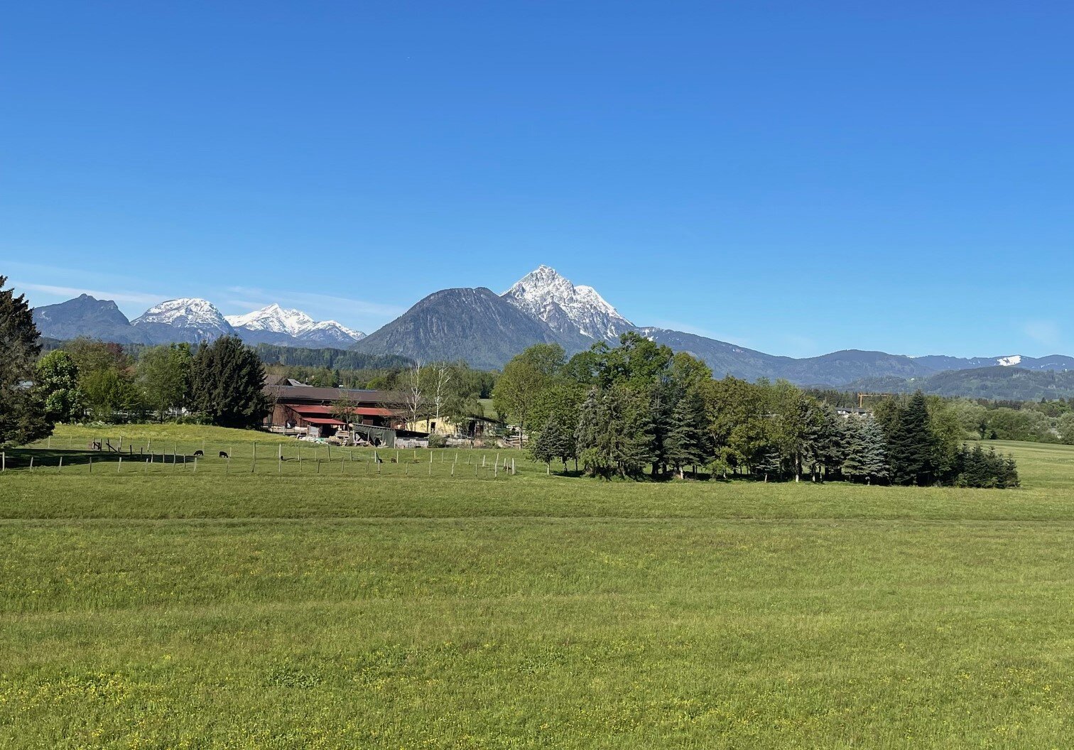 Green meadows & Alpine panorama: 1-room apartment for short-term rental & temporary housing for 1 to 6 months in Salzburg