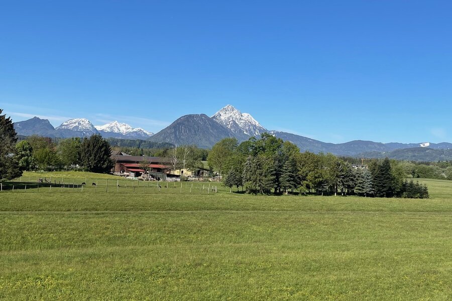 Green meadows & Alpine panorama: 1-room apartment for short-term rental & temporary housing for 1 to 6 months in Salzburg