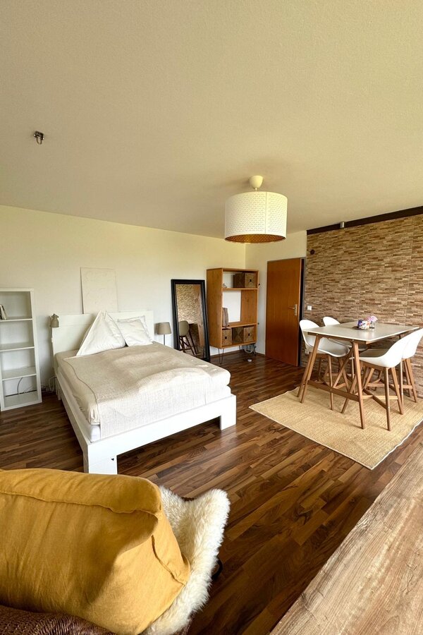 Living and bedroom