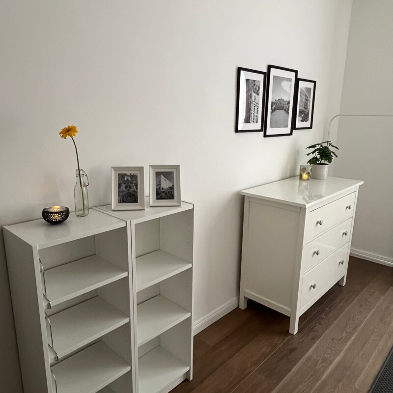 Bookshelf in the sleeping room