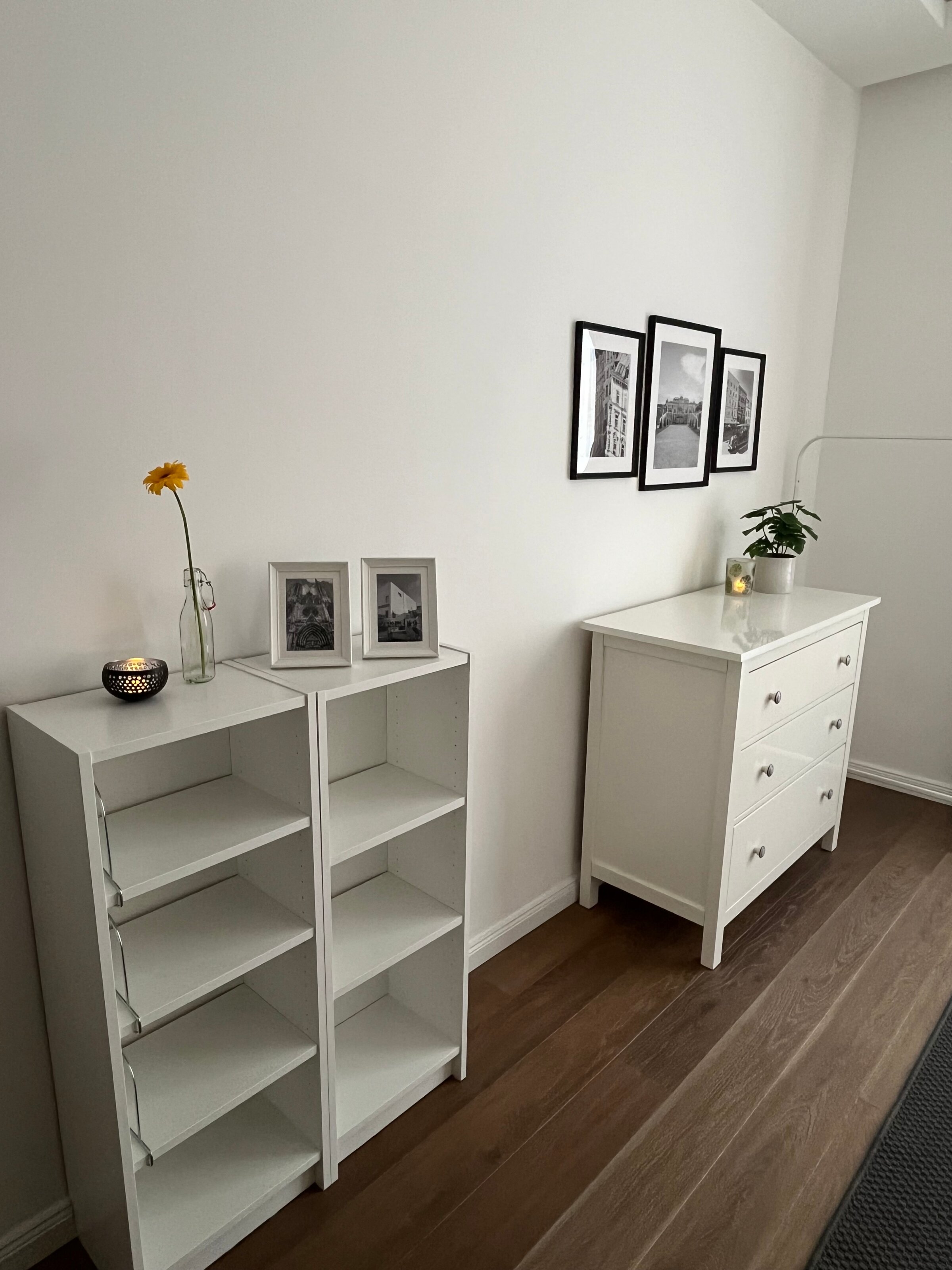 Bookshelf in the sleeping room