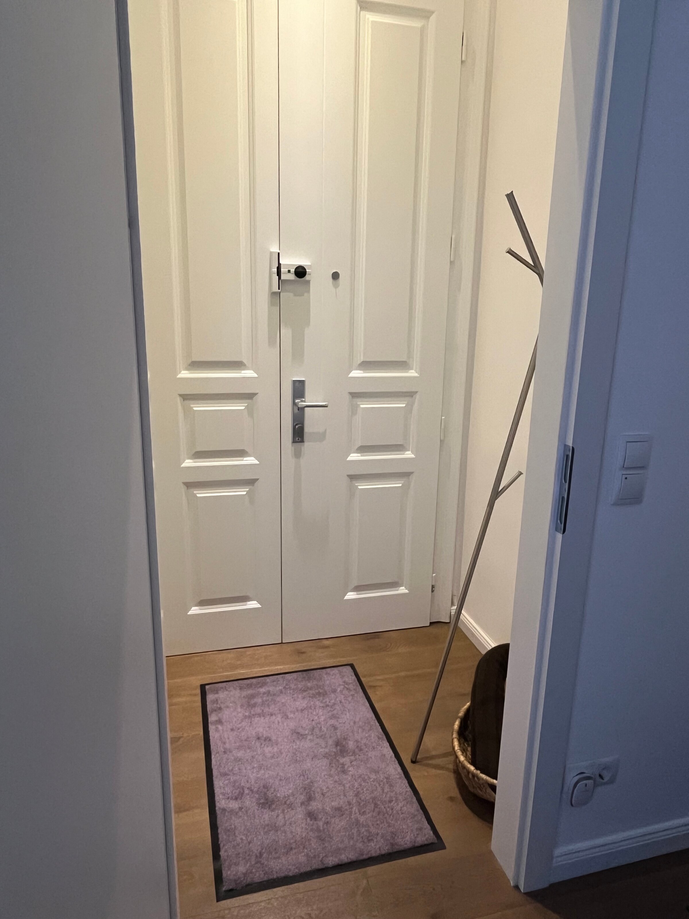 Front door and entrance area
