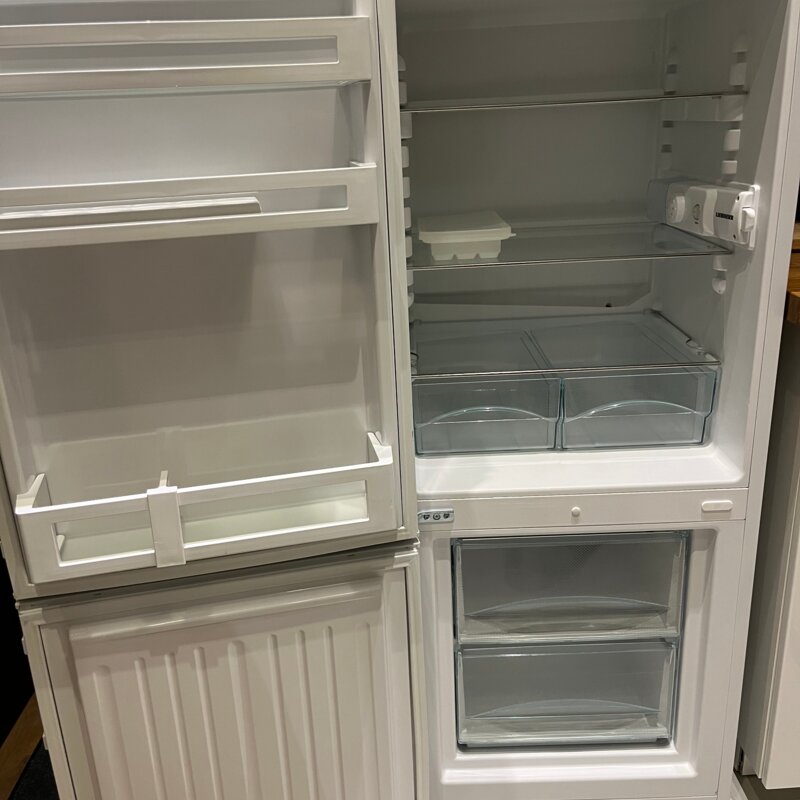 Kitchen: Fridge and freezer