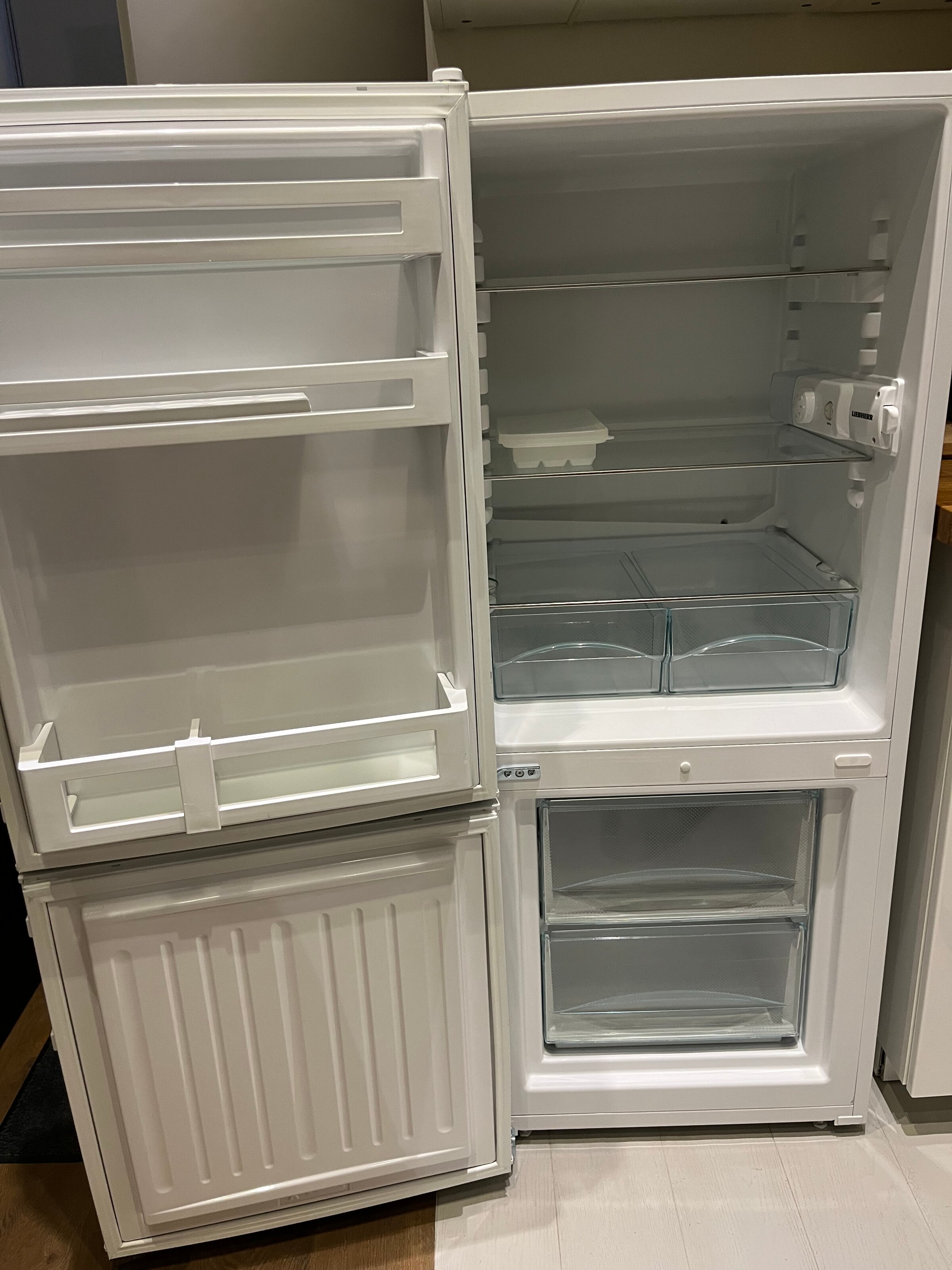 Kitchen: Fridge and freezer