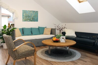 Helles Wohnzimmer mit Sofa & Dachfenster – 3-Zimmer Wohnung, Kurzzeitmiete & Wohnen auf Zeit für 1 bis 6 Monate in Palt