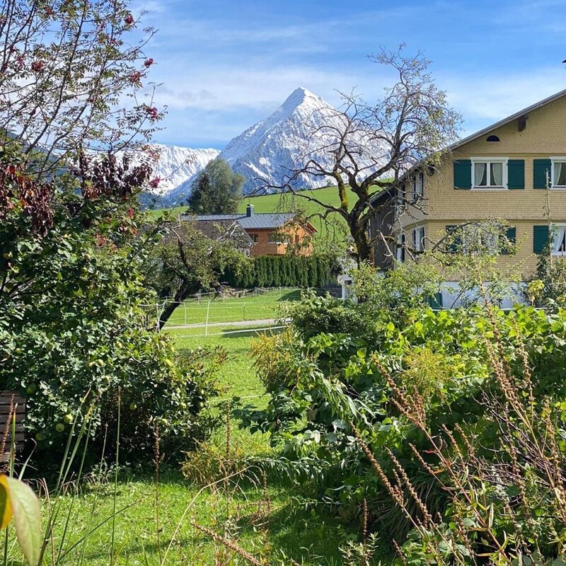 Alpine chalet with mountain panorama – house for short-term rental & temporary housing for 1 to 6 months in Au