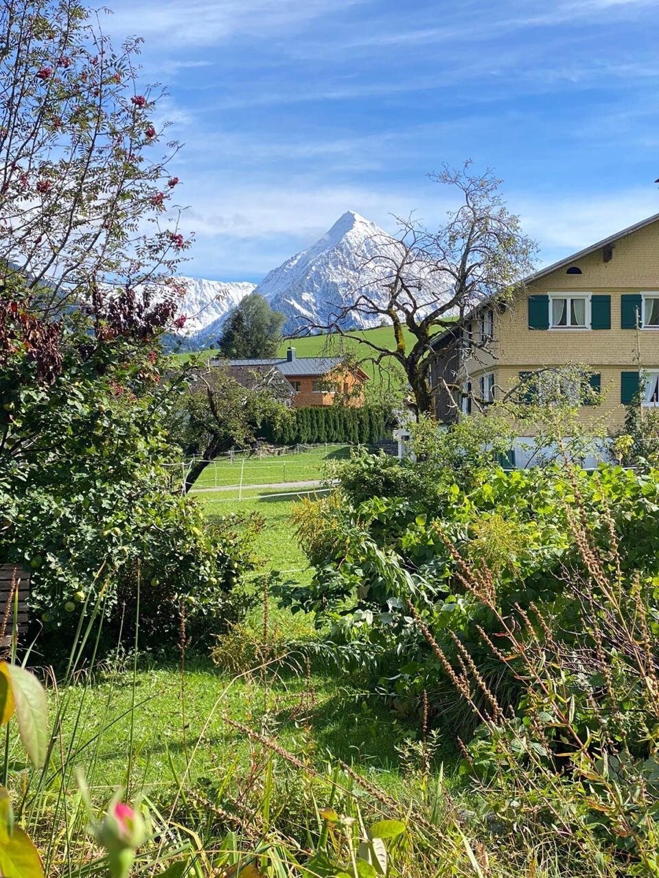 Alpine chalet with mountain panorama – house for short-term rental & temporary housing for 1 to 6 months in Au