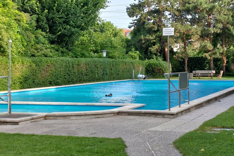 Schwimmbad mit Duschen, Umkleidekabine und WC