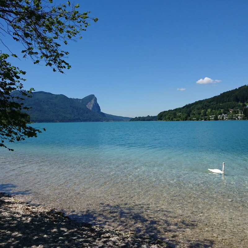 Mondsee