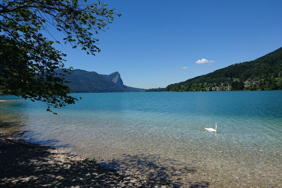 Mondsee