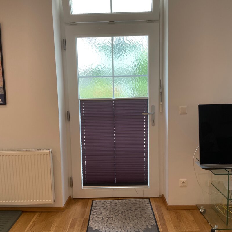 Entrance door window blinds