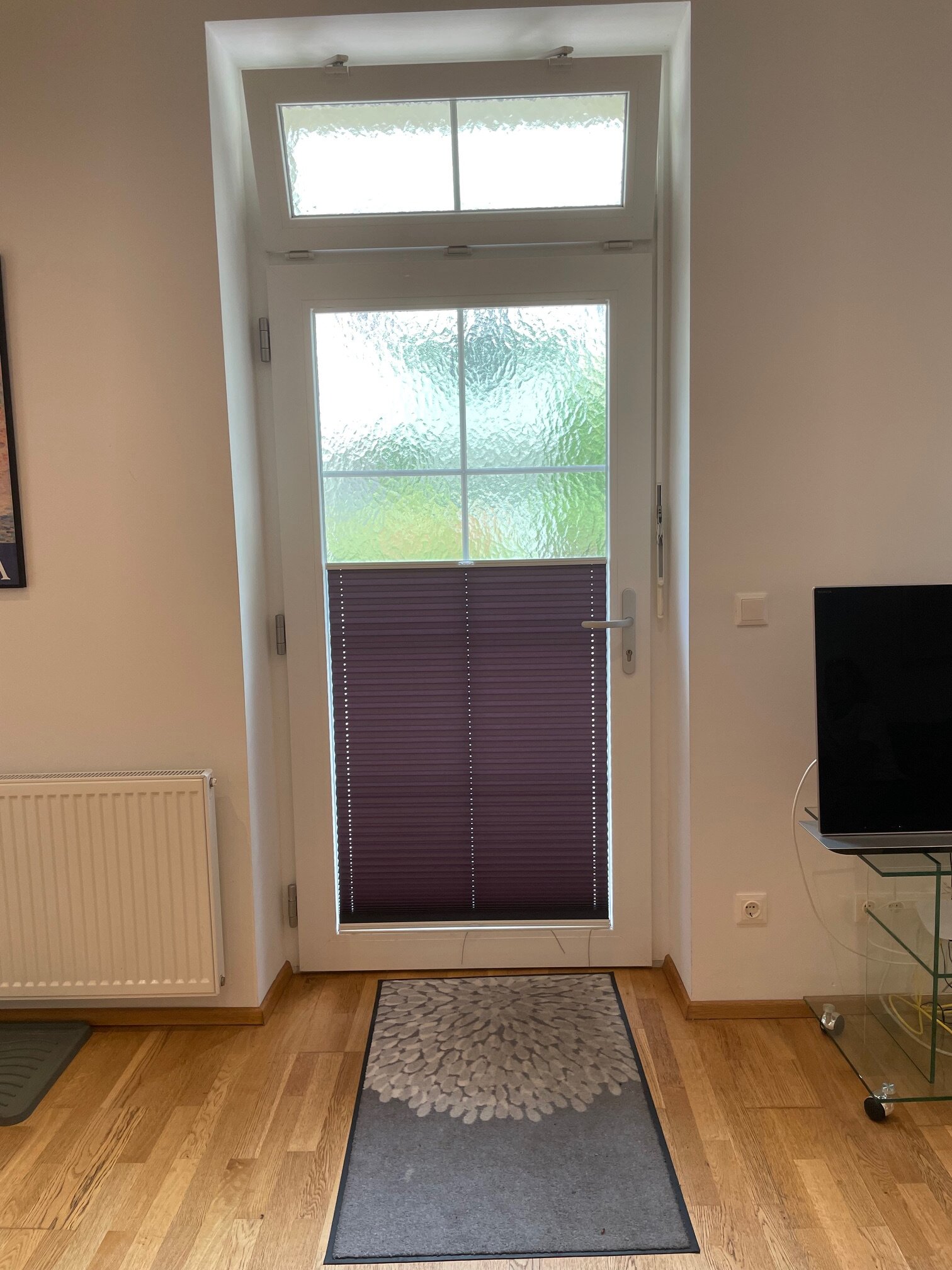 Entrance door window blinds