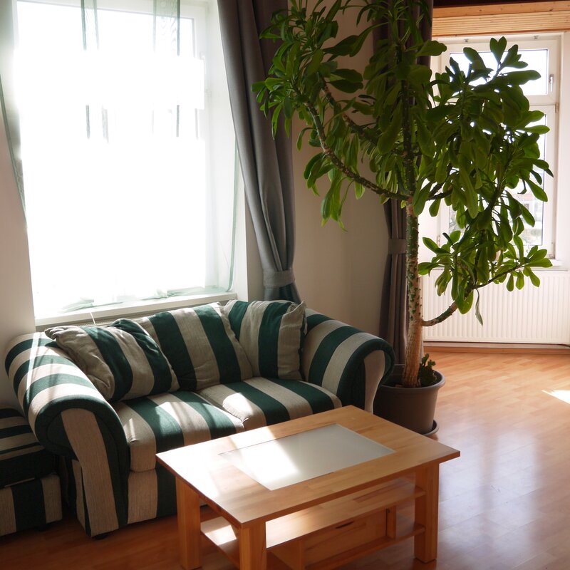 Lichtdurchflutetes Wohnzimmer