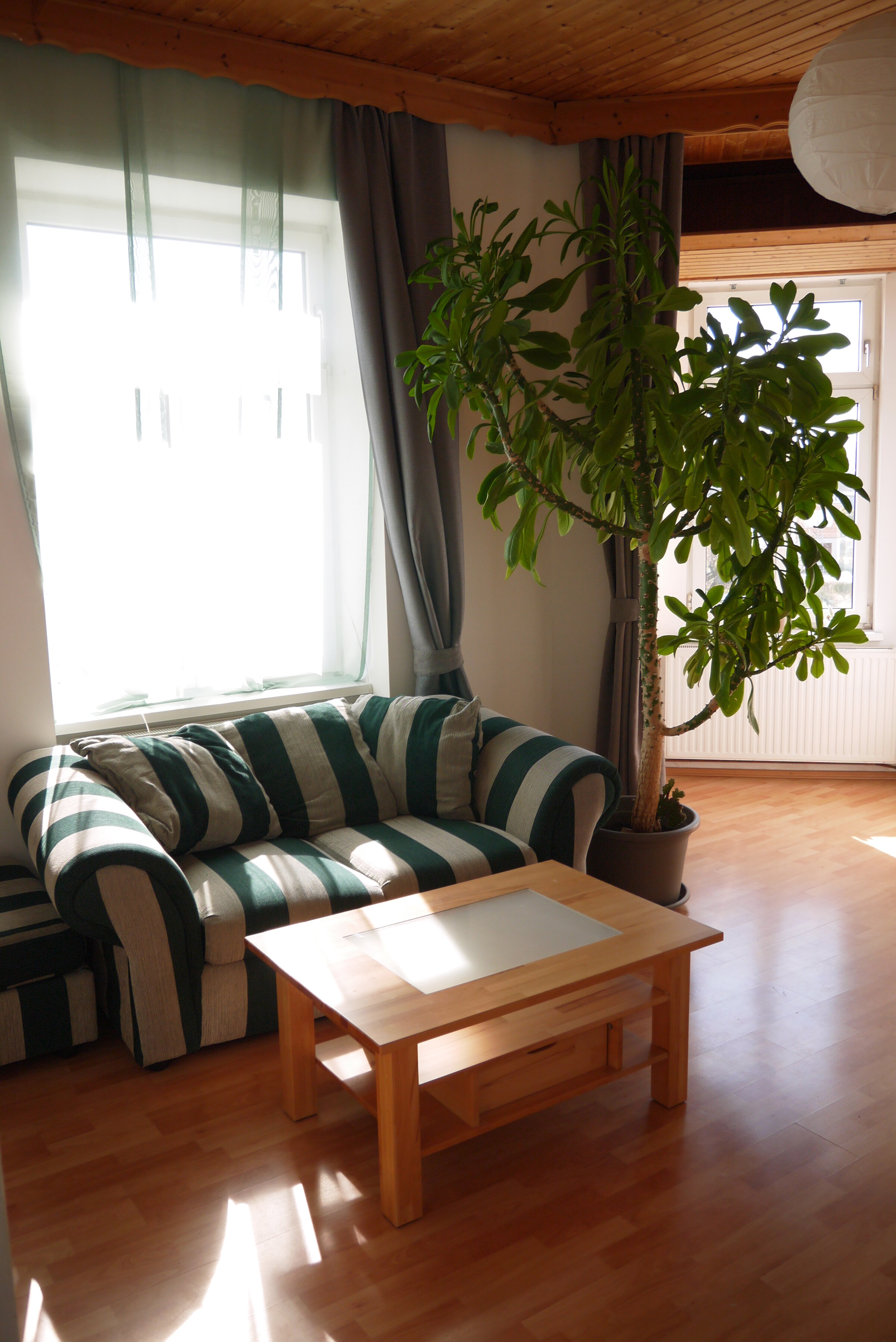 Lichtdurchflutetes Wohnzimmer